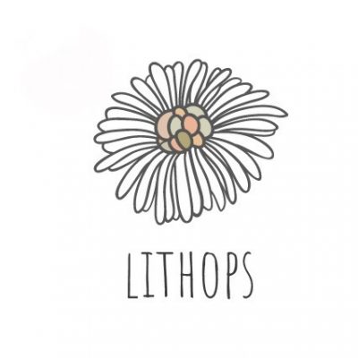 Lithops “White Lissandra” σκουλαρίκια