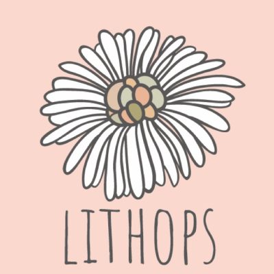 Lithops “Βlue love” κολιε